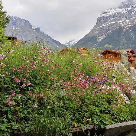 Adler 2 Bett Feriehus *