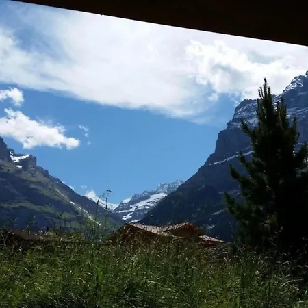Adler 2 Bett * Grindelwald